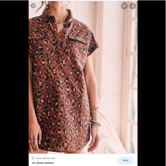 Sezane Dresses & Skirts - Sezane Will dress in coffee leopard